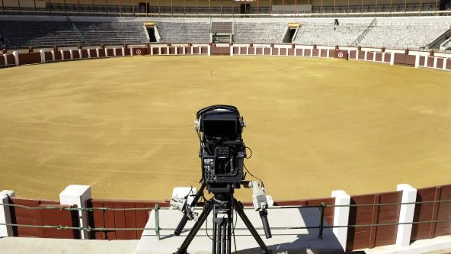 Castilla y León abre el proceso para declarar los toros Bien de Interés Cultural