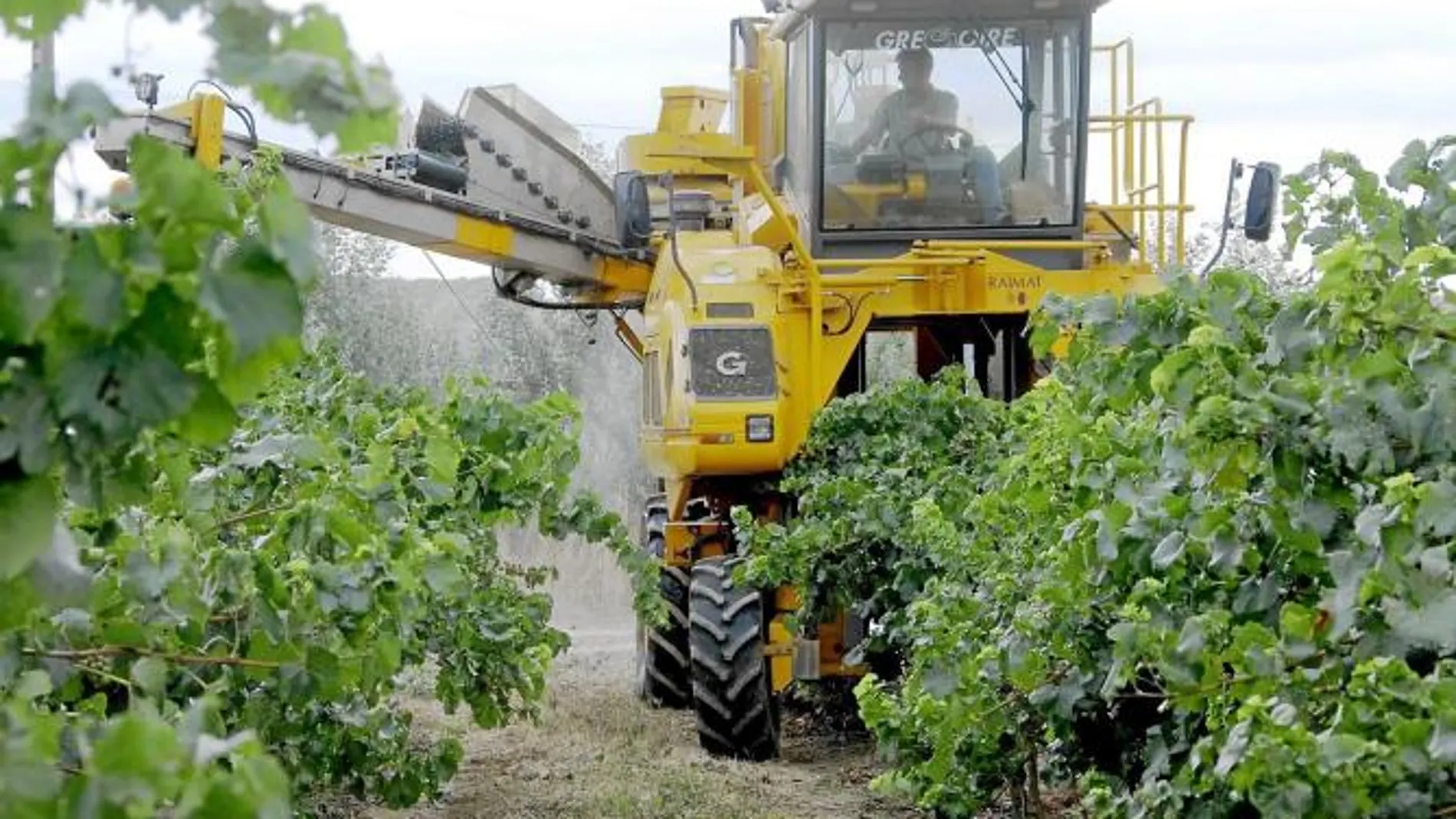 Un agricultor trabaja en su producción con un tractor