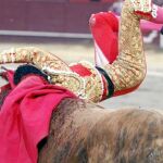 Toros tan grandes como mansos