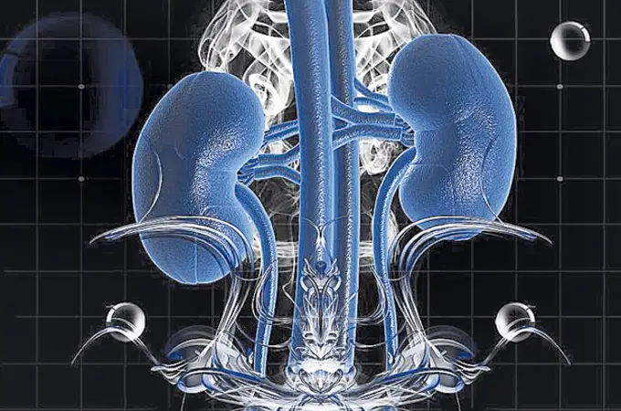 Un fármaco experimental reduce hasta en un 70% el daño renal