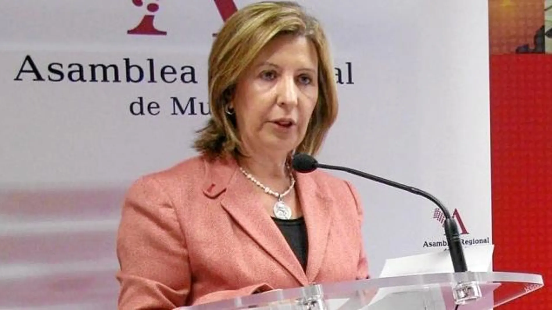 Palacios afirma que la Sanidad no se le negará a ningún ciudadano de la Región