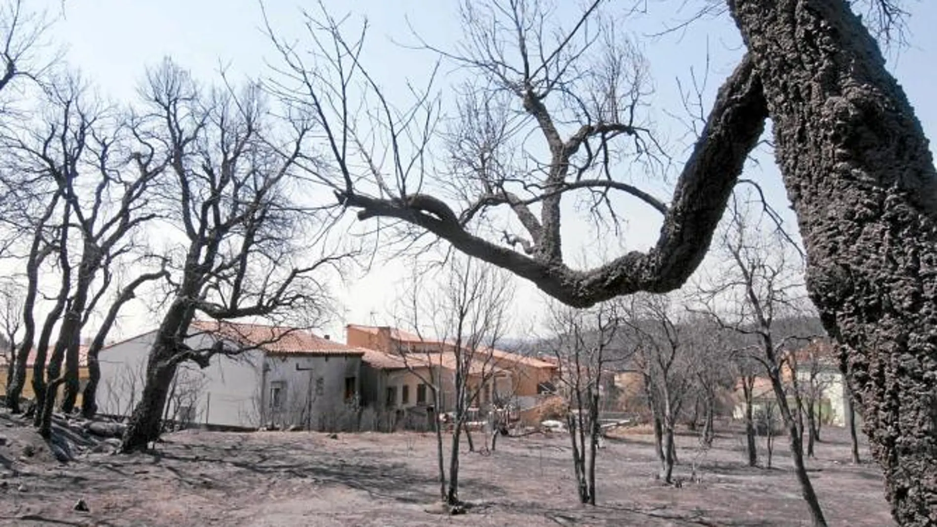 Ni cámpings ni casas rurales sufren anulaciones de reservas por el fuego