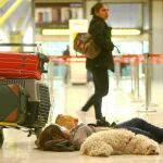 Viajeros esperando su vuelo en compañía de sus mascotas