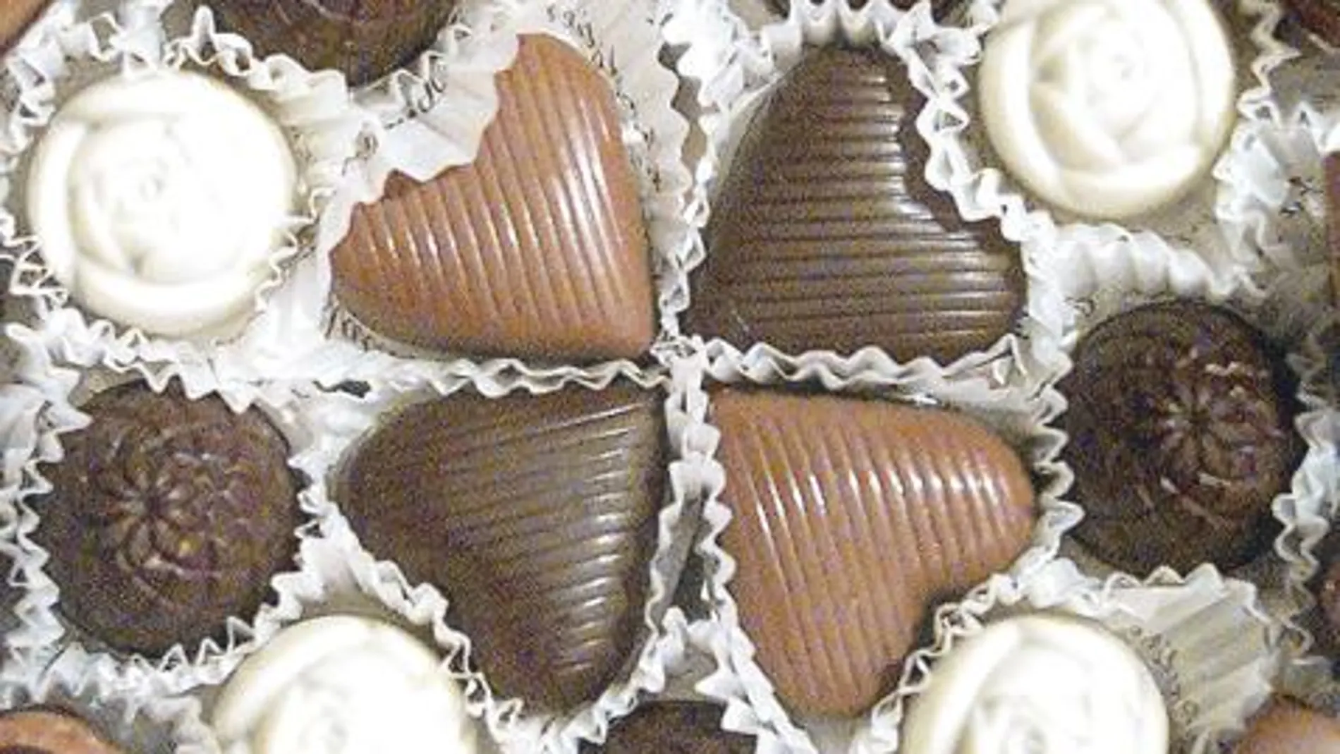 Tomar cacao previene dolencias intestinales