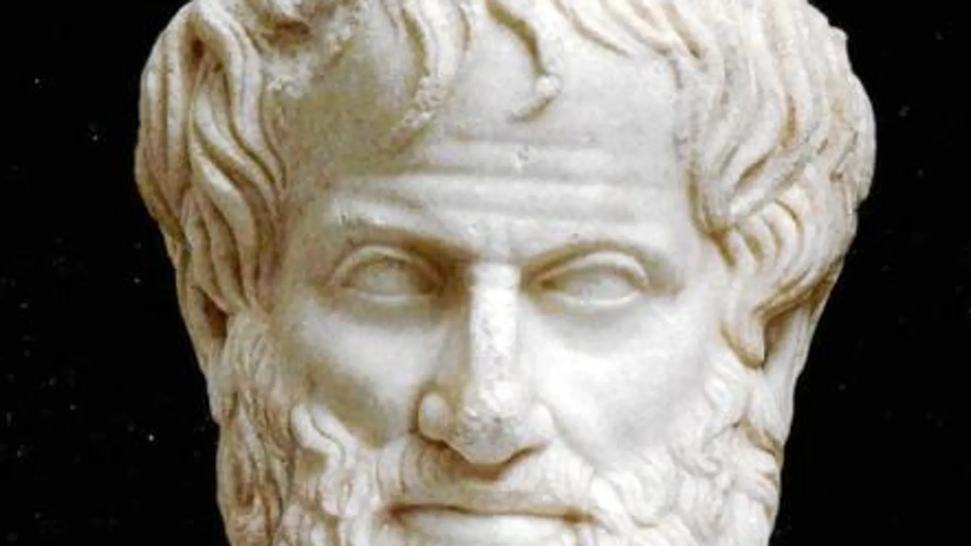 Busto que representa al filósofo Aristóteles