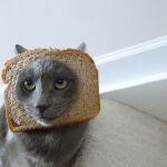 «Breading» la última moda en Internet