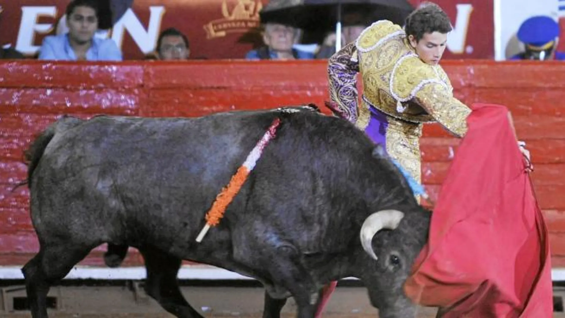 Arturo Saldívar, en la Monumental Plaza México el domingo