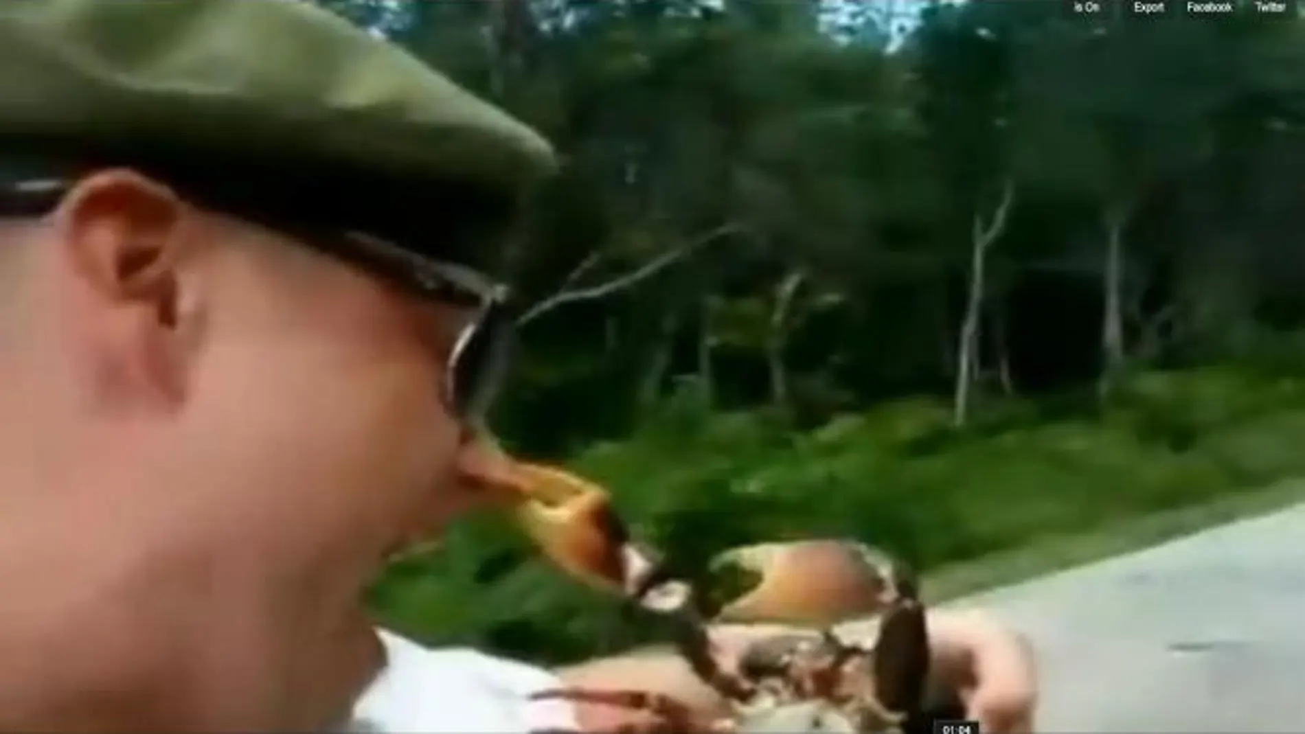 Un hombre atacado por un cangrejo, otro de los vídeos divertidos de Youtube
