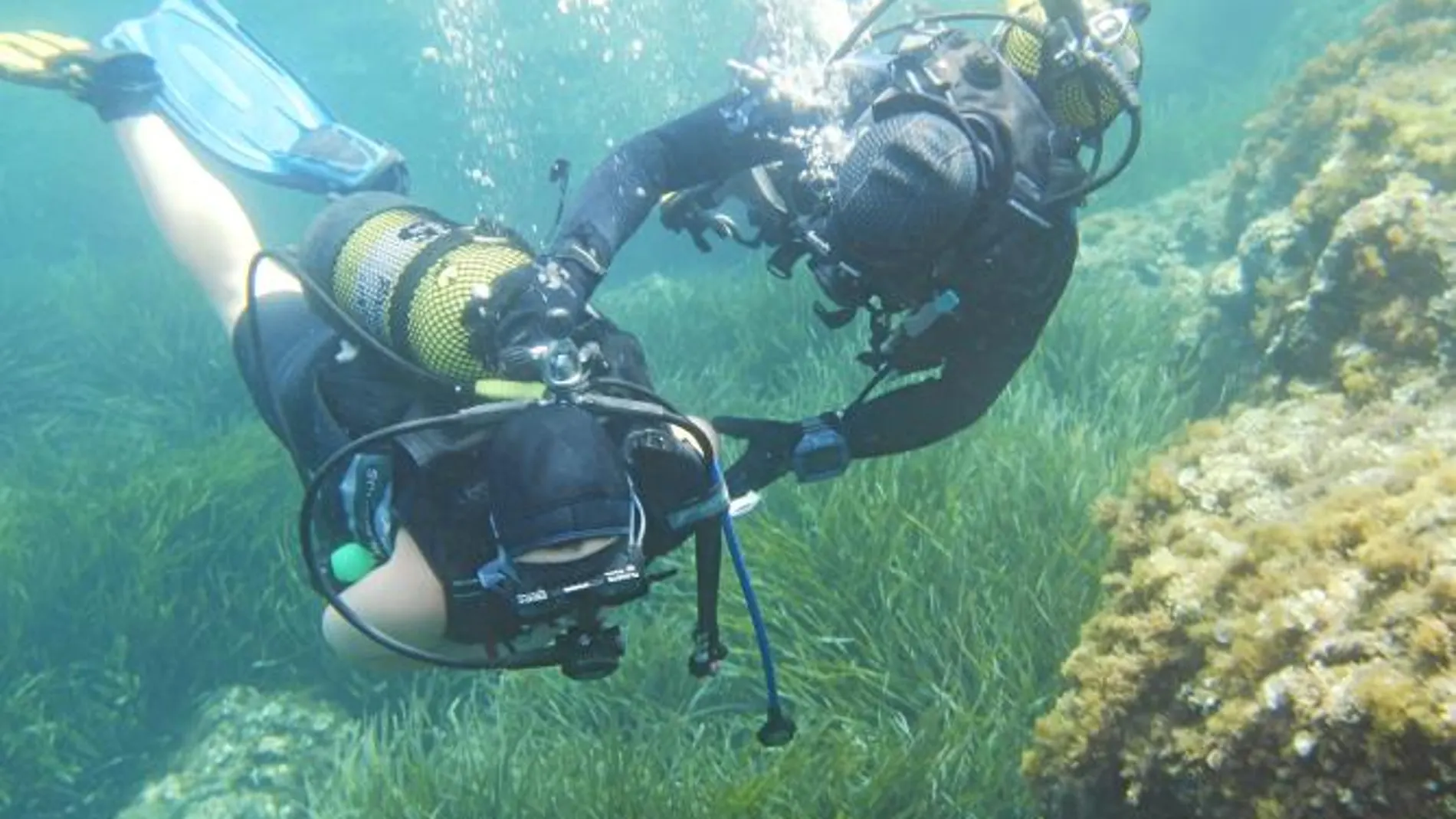 La UCAM realiza un curso de verano con el buceo como actividad protagonista