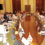 El consejero murciano (tercero izquierda), en la reunión con el Ministro de Agricultura ayer en Madrid