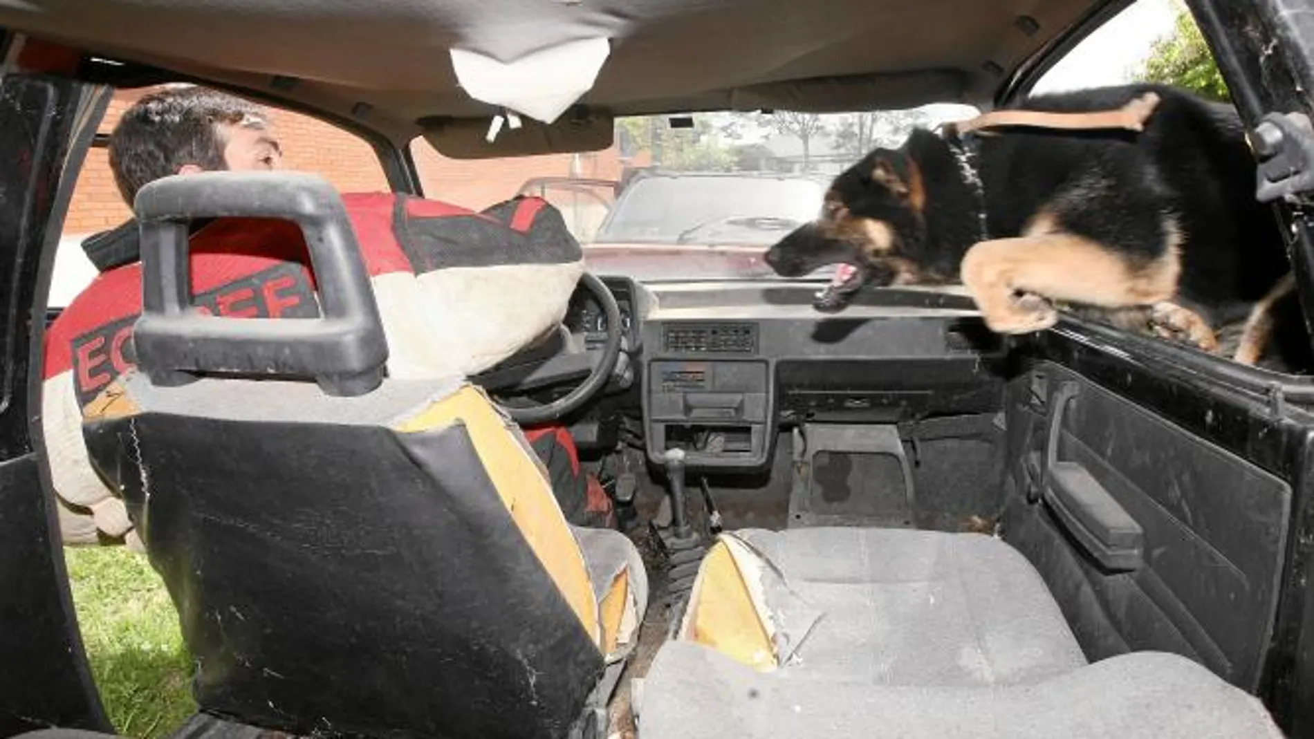 Perro policía una carrera para héroes caninos