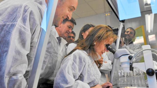 La consejera de Agricultura y Ganadería, Silvia Clemente, durante su visita a la zona de Vallelado, donde Francisco Vázquez y Jesús Julio Carnero acordaron impulsar la promoción y comercialización del ajo