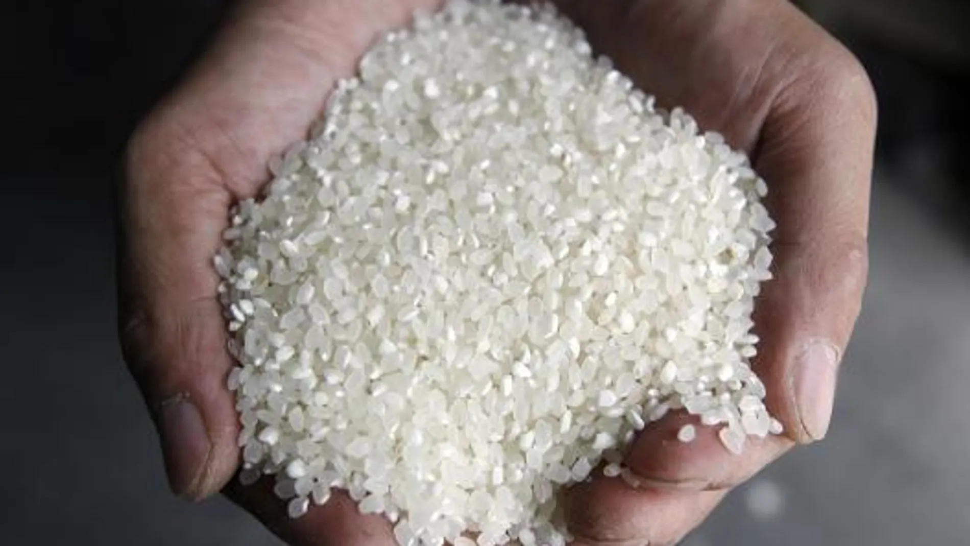 El arroz es uno de los elementos estrella de cualquier inventario de recetas