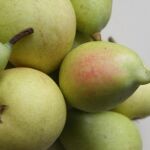 Judías verdes y peras se abarataron en octubre, mientras subieron los tomates