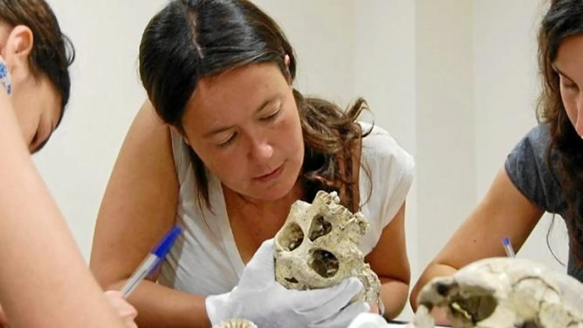 María Martinón-Torres trabaja con huesos del yacimiento de Atapuerca