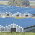 Cerdeña alberga el mayor invernadero fotovoltaico