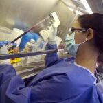 El equipo de investigación ha presentado los primeros resultados