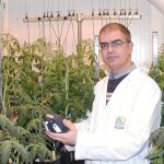 Agricultura lidera un proyecto europeo para mejorar el producto de invernadero