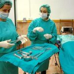 Satse pide mejoras para que se garantice la salud de los profesionales de enfermería