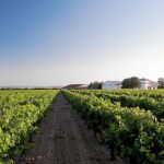 El respeto al paisaje y a las edificaciones existentes será fundamental para el desarrollo de una Actuación Territorial Estratégica (ATE)