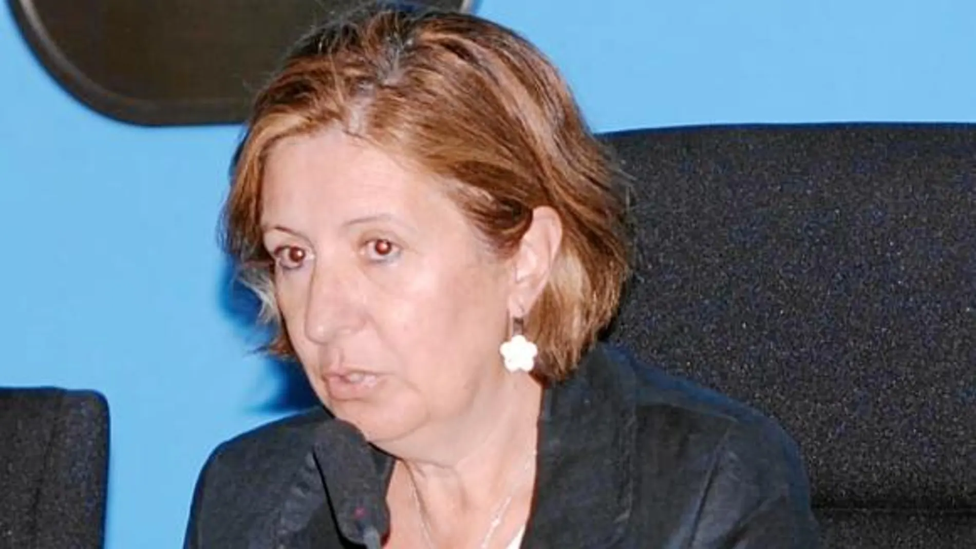 La consejera de Sanidad y Política Social, María Ángeles Palacios