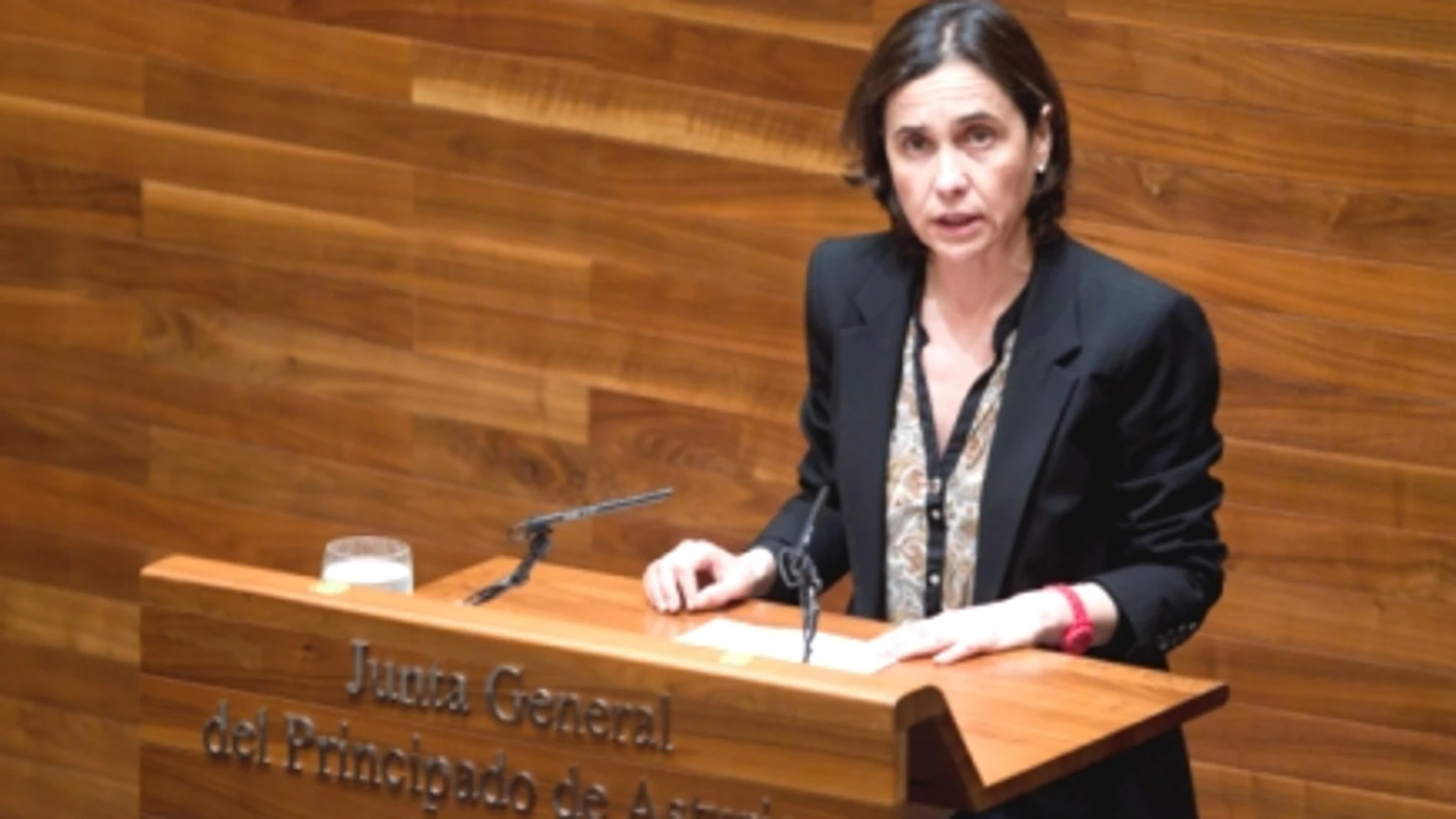 Dolores Carcedo, consejera de Hacienda y Sector Público de Asturias