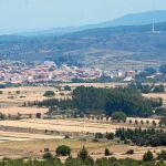 La biomasa el inicio del futuro de los montes valencianos