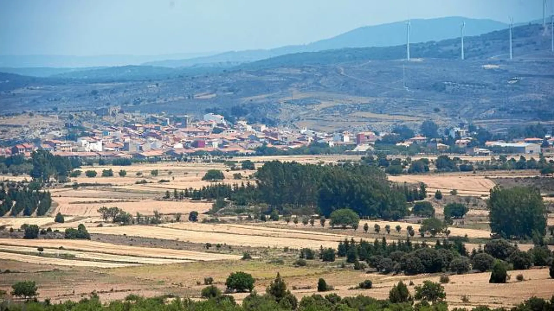 La biomasa el inicio del futuro de los montes valencianos