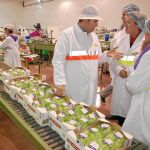 Barreiro (3 izq), en la visita a la empresa Murciana de los Vegetales