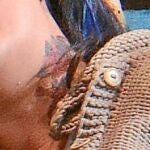Netrebko luce un tatuaje en su cuello (su pareja, Erwin Schrott, también es aficionado). ¿Motivo? La red se hace eco de las teorías más variopintas