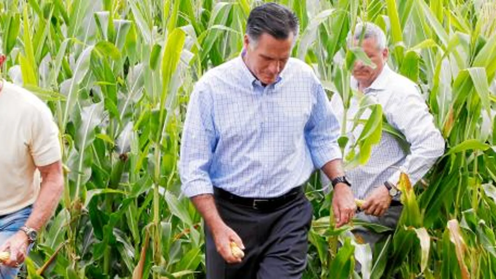 de campañA en Iowa. El candidato republicano, Mitt Romney, en una granja en la ciudad de Des Moines