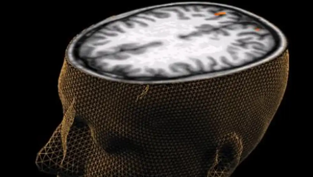El cerebro activa distintas regiones en función de la edad de los recuerdos