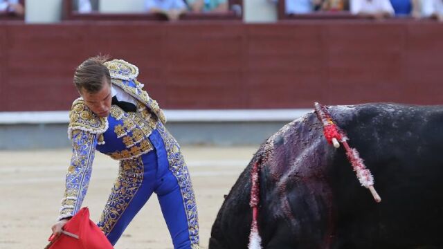 Imagen de Javier Cortés este año en Las Ventas / Foto: Cristina Bejarano