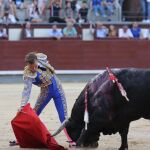 Imagen de Javier Cortés este año en Las Ventas / Foto: Cristina Bejarano