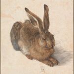 Cuadro de "La Liebre, 1502" en la exposición "Los orígenes de Albertina - de Durero a Napoleón", en el museo Albertina en Viena.