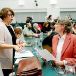 Sabanés e Higueras durante una de las comisiones del Ayuntamiento de Madrid. Foto: CRISTINA BEJARANO