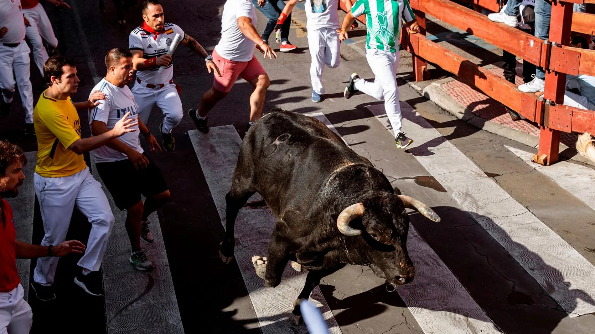 El tercer encierro de San Sebastián de los Reyes ha concluido con ocho heridos leves, por quemaduras y una contusión, que ya han sido dados de alta