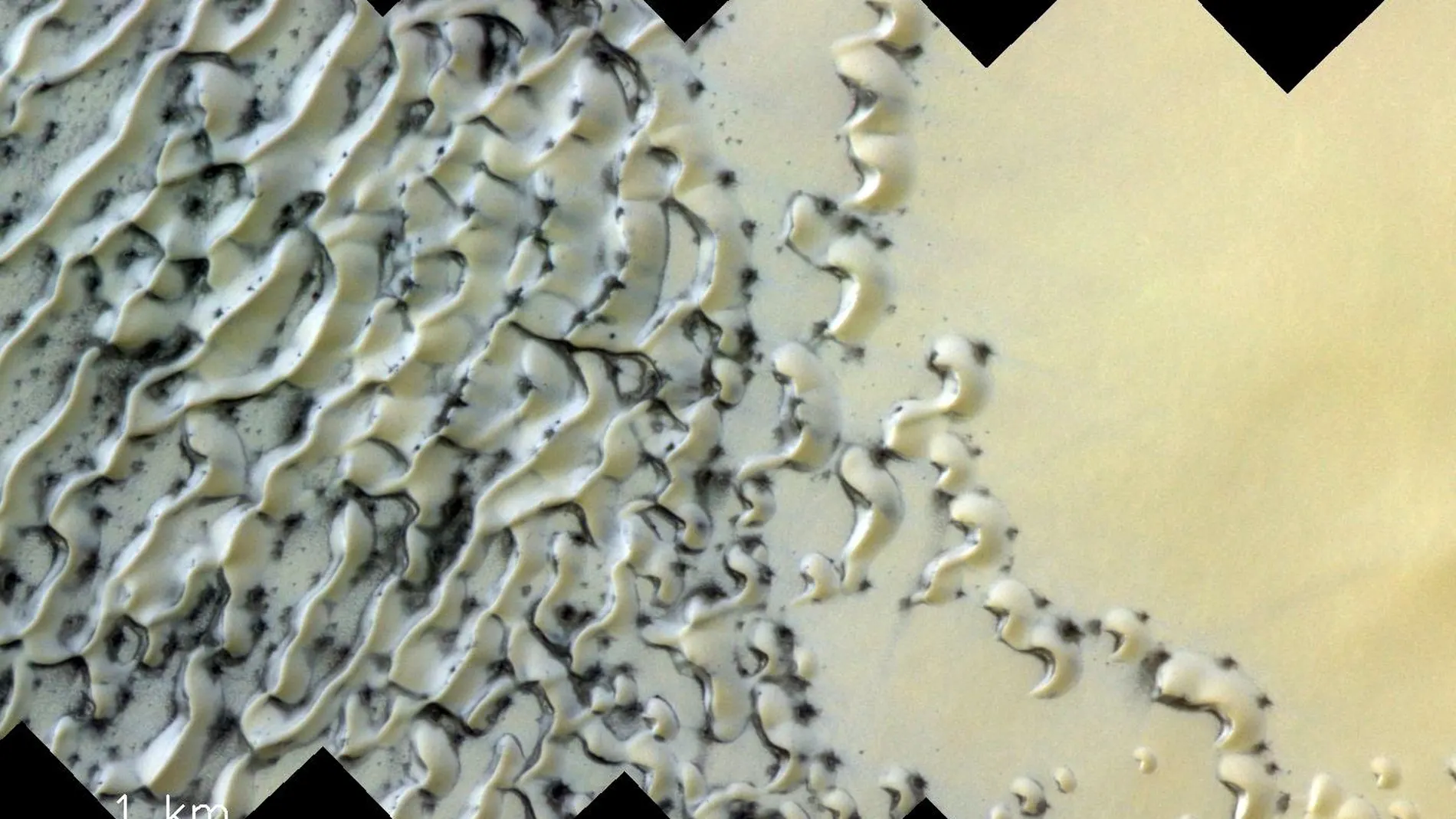 Las dunas del Polo Norte de Marte /ESA/Roscosmos/CaSSIS
