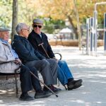 Un grupo de jubilados en un parque madrileño