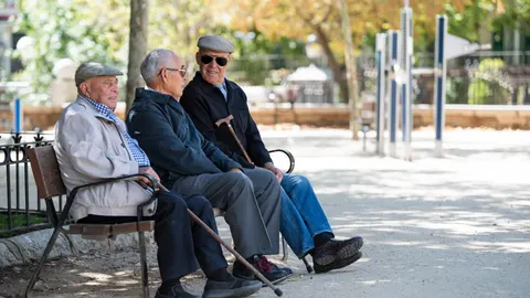 Un grupo de jubilados en un parque madrileño
