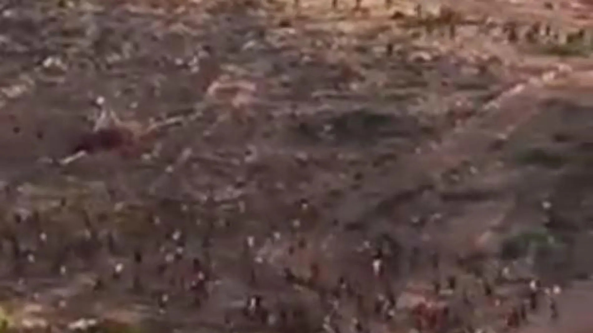 Vídeo: Así fue el brutal y multitudinario asalto a la valle de Melilla