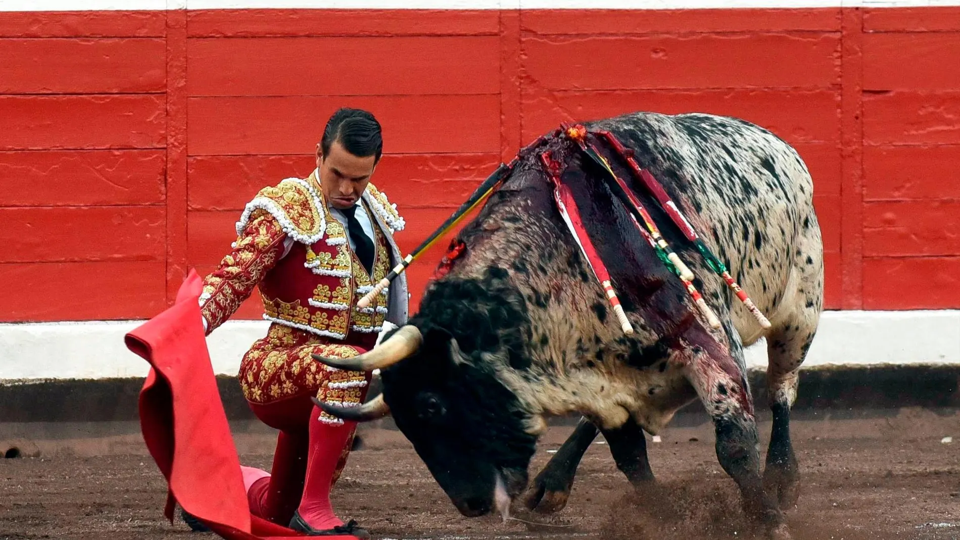 José María Manzanares da un pase a su segundo toro,/Efe