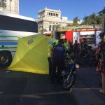 El accidente ha ocurrió sobre las 9.15 horas en una isleta de parada de autobuses de la plaza de Cibeles