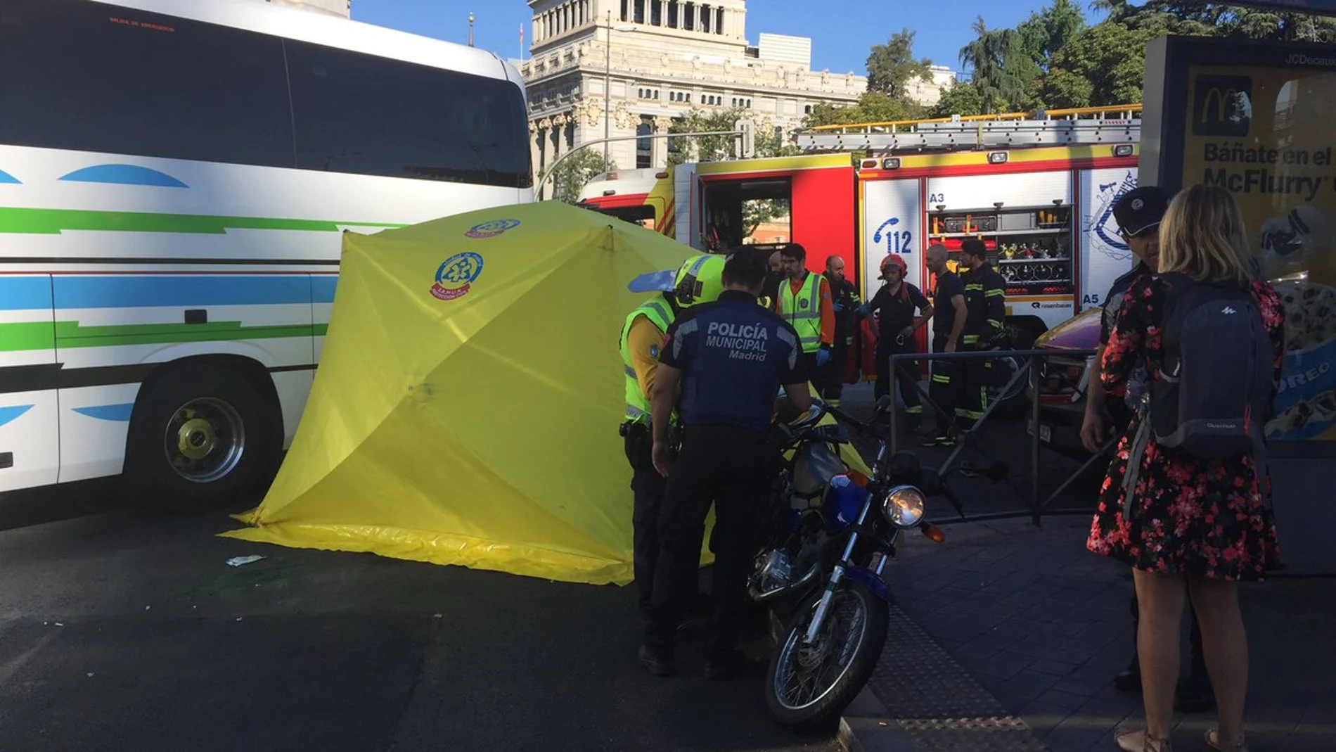 El accidente ha ocurrió sobre las 9.15 horas en una isleta de parada de autobuses de la plaza de Cibeles