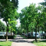 8 cosas a tener en cuenta para ir de camping este verano