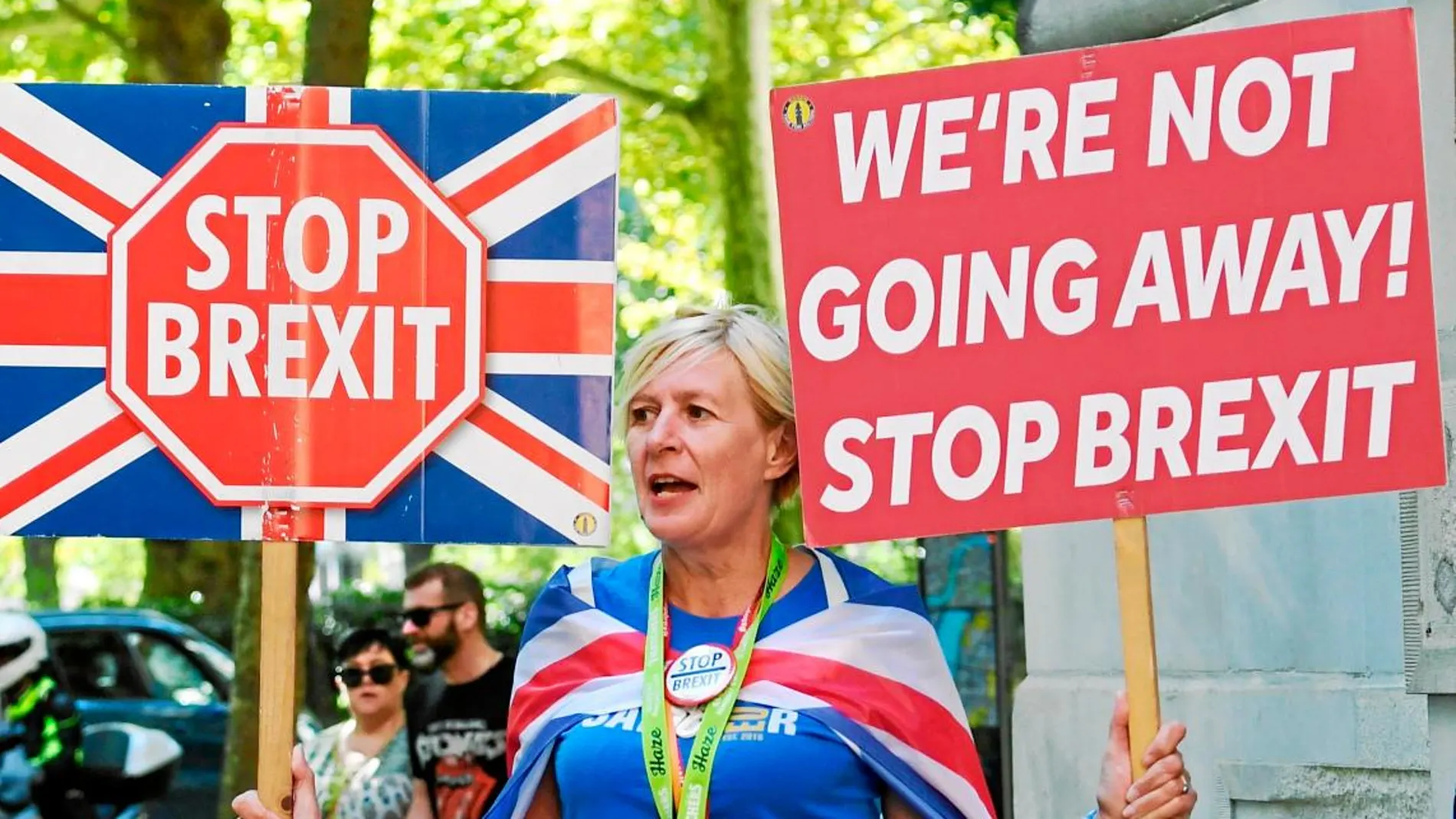 Una británica se manifesta en contra del cierre del Parlamento impuesto por el «premier» / Efe