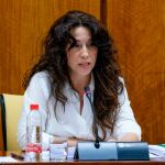 La consejera de Igualdad, Rocío Ruiz, ayer en comisión parlamentaria /Foto: La Razón