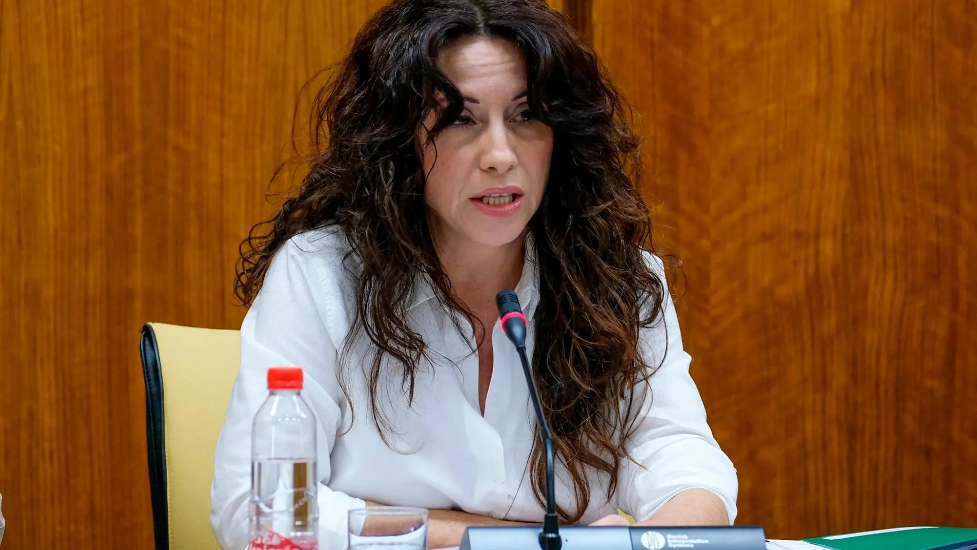 La consejera de Igualdad, Rocío Ruiz, ayer en comisión parlamentaria /Foto: La Razón