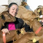 Las cabras de «La Caperuza» Cada mañana Laura ordeña leche a las cabras que están en fase de producción, y que después abastece a la quesería que regenta con su socia Concha. Foto: Luis Díaz