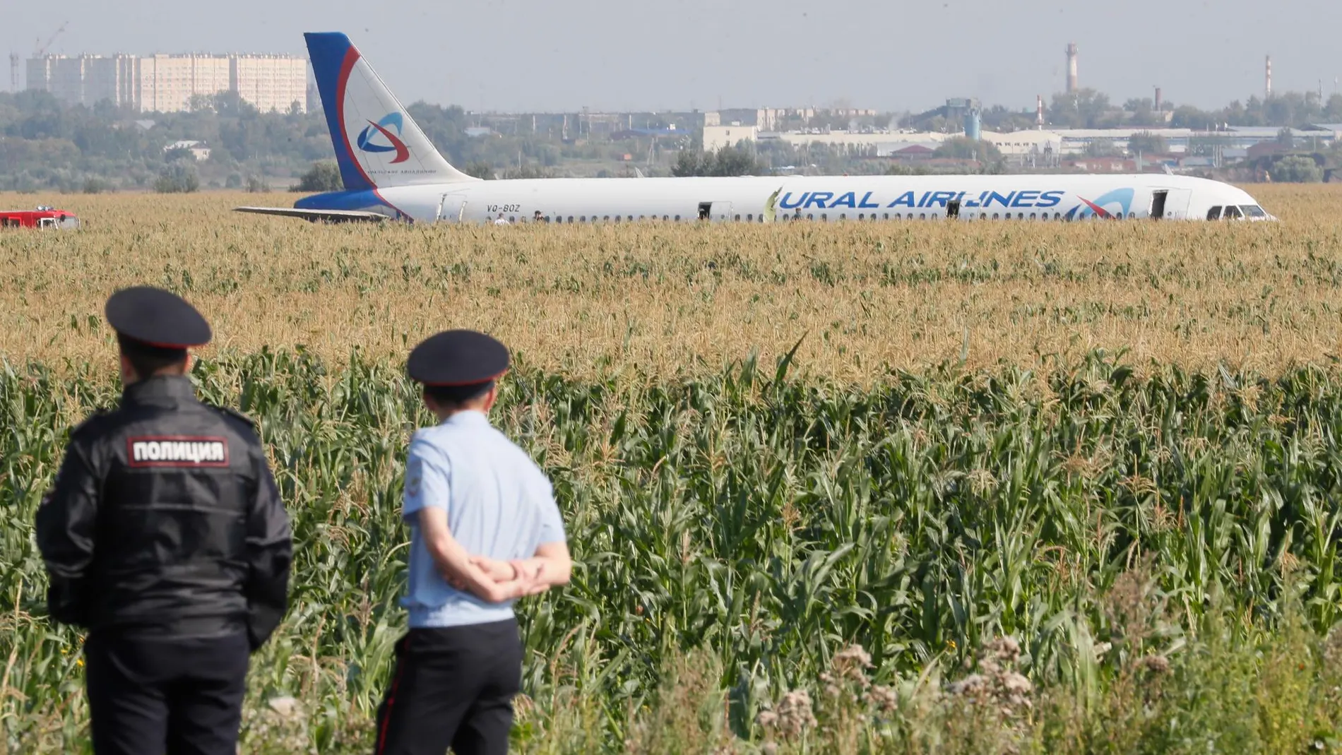 Imágen del A.321 que ha aterrizado en un campo de maíz en Moscú
